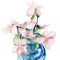 Image Not Available